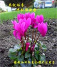 Published on 9/30/2012 ֹ,й½ҵ󷨵ӹףʦ
