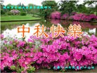 Published on 9/30/2012 ֹ,½󷨵ʺʦã85
