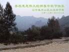 Published on 9/30/2012 ֹ,½󷨵ʺʦã85

