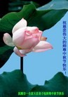 Published on 9/30/2012 ֹ,½󷨵ʺʦã85
