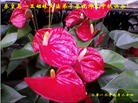 Published on 9/30/2012 ֹ,½󷨵ʺʦã85
