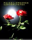 Published on 9/30/2012 ֹ,й½ҵ󷨵ӹףʦ
