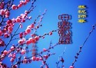 ֹ,󷨵ӹףʦã72
