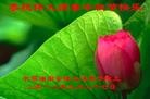 Published on 9/30/2012 ֹ,й½ҵ󷨵ӹףʦ

