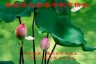 Published on 9/30/2012 ֹ,й½ҵ󷨵ӹףʦ
