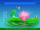 Published on 9/30/2012 ֹ,й½ҵ󷨵ӹףʦ
