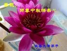 Published on 9/30/2012 ֹ,½󷨵ʺʦã102
