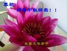 Published on 9/30/2012 ֹ,½󷨵ʺʦã102
