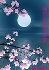 Published on 9/30/2012 ֹ,½󷨵ʺʦã102
