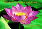 Published on 9/30/2012 ֹ,½󷨵ʺʦã102
