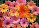Published on 9/30/2012 ֹ,½󷨵ʺʦã128
