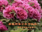 Published on 9/30/2012 ֹ,½󷨵ʺʦã102
