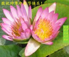 Published on 9/30/2012 ֹ,½󷨵ʺʦã128
