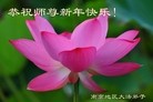 Published on 1/1/2013 ֹ,½󷨵ӹףʦԪ֣145
