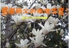 ֹ,󷨵ӹףʦ(25)
