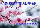 法轮功,大庆大法弟子恭祝师尊新年好（14条）
