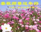 法轮功,大庆大法弟子恭祝师尊过年好(16条)
