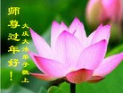 ֹ,󷨵ӹףʦ(16)
