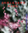 法轮功,西安大法弟子恭祝师尊新年好(28条)
