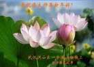 ֹ,人󷨵ӹףʦã17
