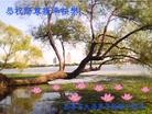 ֹ,󷨵Ӹʦ(15)
