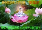 法轮功,哈尔滨大法弟子恭祝师尊新年快乐(17条)
