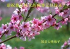 ֹ,½󷨵ӹףʦԪ֣66
