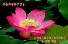 ֹ,½󷨵ӹףʦԪ֣29
