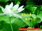 ֹ,½󷨵ӹףʦԪ֣66
