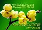 ֹ,մ󷨵ӹףʦ(19)
