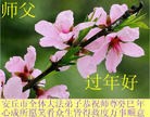 ֹ,Ϋ󷨵ӹףʦ(16)
