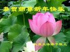 ֹ,󷨵ӹףʦ(16)
