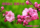 ֹ,ʴ󷨵ӹףʦ(14)
