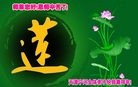 ֹ,󷨵ӹףʦ(15)
