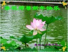 ֹ,ൺ󷨵ӹףʦ(15)
