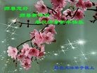 ֹ,Ϋ󷨵ӹףʦ(16)
