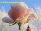 Published on 2/7/2013 ֹ,½Сӹףʦ(14)
