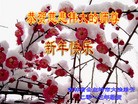 ֹ,ʡ󷨵ӹףʦã28
