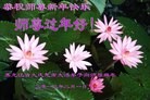 ֹ,󷨵ӹףʦ(16)
