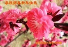 ֹ,մ󷨵ӹףʦã45
