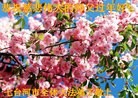 ֹ,󷨵ӹףʦã45
