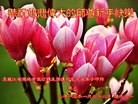 ֹ,󷨵ӹףʦã45
