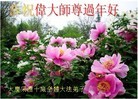 Published on 2/8/2013 ֹ,ҵ󷨵ӹףʦã19
