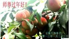 ֹ,ϴ󷨵ӹףʦ(15)
