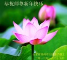 法轮功,山东大法弟子恭祝师尊新年好（31条）
