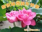 ֹ,󷨵ӹףʦã45
