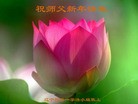 ֹ,󷨵ӹףʦã23
