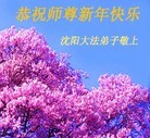 法轮功,沈阳大法弟子恭祝师尊新年好(15条)
