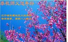 ֹ,󷨵ӹףʦã23
