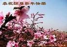 Published on 2/9/2013 ֹ,մ󷨵ӹףʦã15
